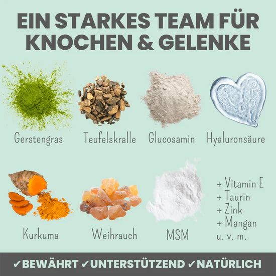noms+ Gelenkmix für Hunde und Katzen mit Teufelskralle, Kurkuma & Glucosamin (150g)