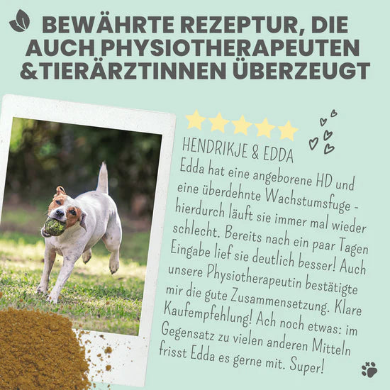 noms+ Gelenkmix für Hunde und Katzen mit Teufelskralle, Kurkuma & Glucosamin (150g)
