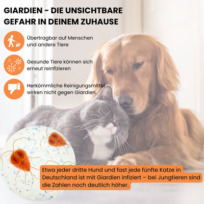 ViPiBaX Giardien EX® Hygiene-Spray 500ml