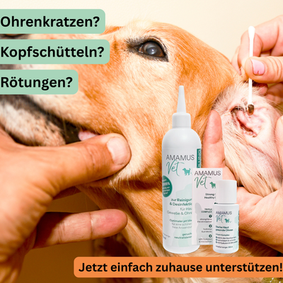 AMAMUS Ohrenpflege Set für Tiere – Effektive Reinigung & Pflege für Hunde und Katzen