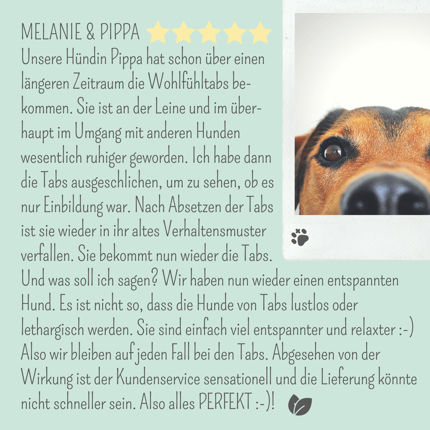 noms+ Wohlfühlmix für Hunde und Katzen bei Stress, Angst, Unruhe und Hyperaktivität (150g)