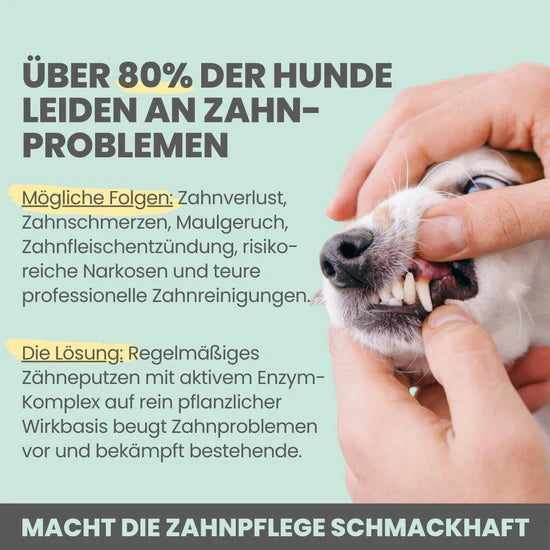 Zahnprobleme bei Hunden wie Plaque und Gingivitis – Enzymodent Zahnpasta hilft bei der täglichen Mundhygiene.