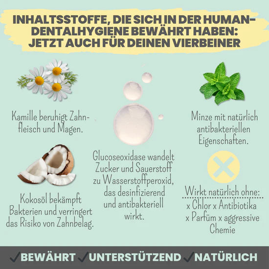 Infografik mit den wichtigsten Inhaltsstoffen der Hundezahnpasta Enzymodent – für gesunde Zähne und frischen Atem