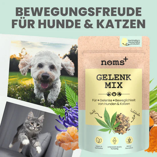 noms+ Gelenkmix für Hunde und Katzen mit Teufelskralle, Kurkuma & Glucosamin (150g)