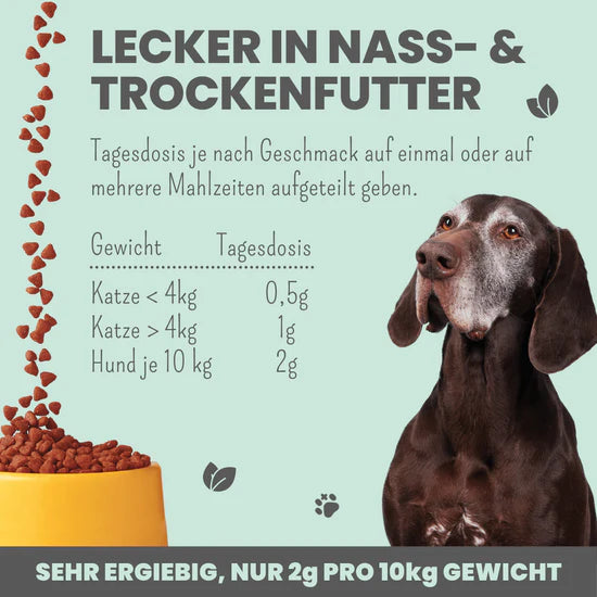 noms+ Gelenkmix für Hunde und Katzen mit Teufelskralle, Kurkuma & Glucosamin (150g)