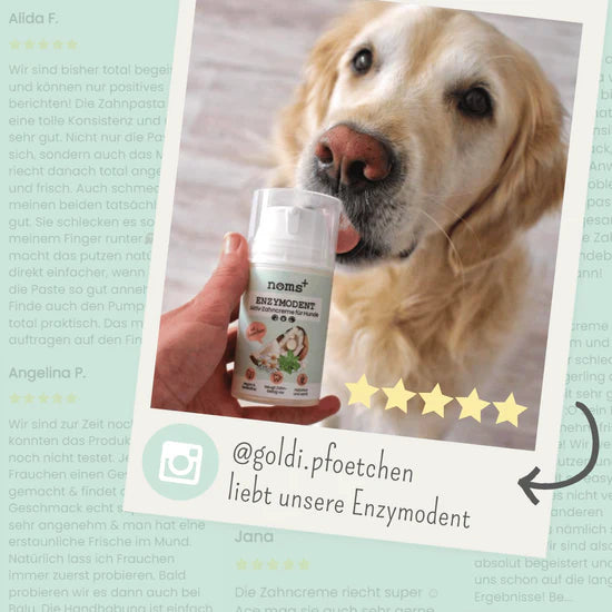 Kundenfeedback: 5 Sterne für Enzymodent Hundezahnpasta – Hund und Produkt gemeinsam abgebildet.
