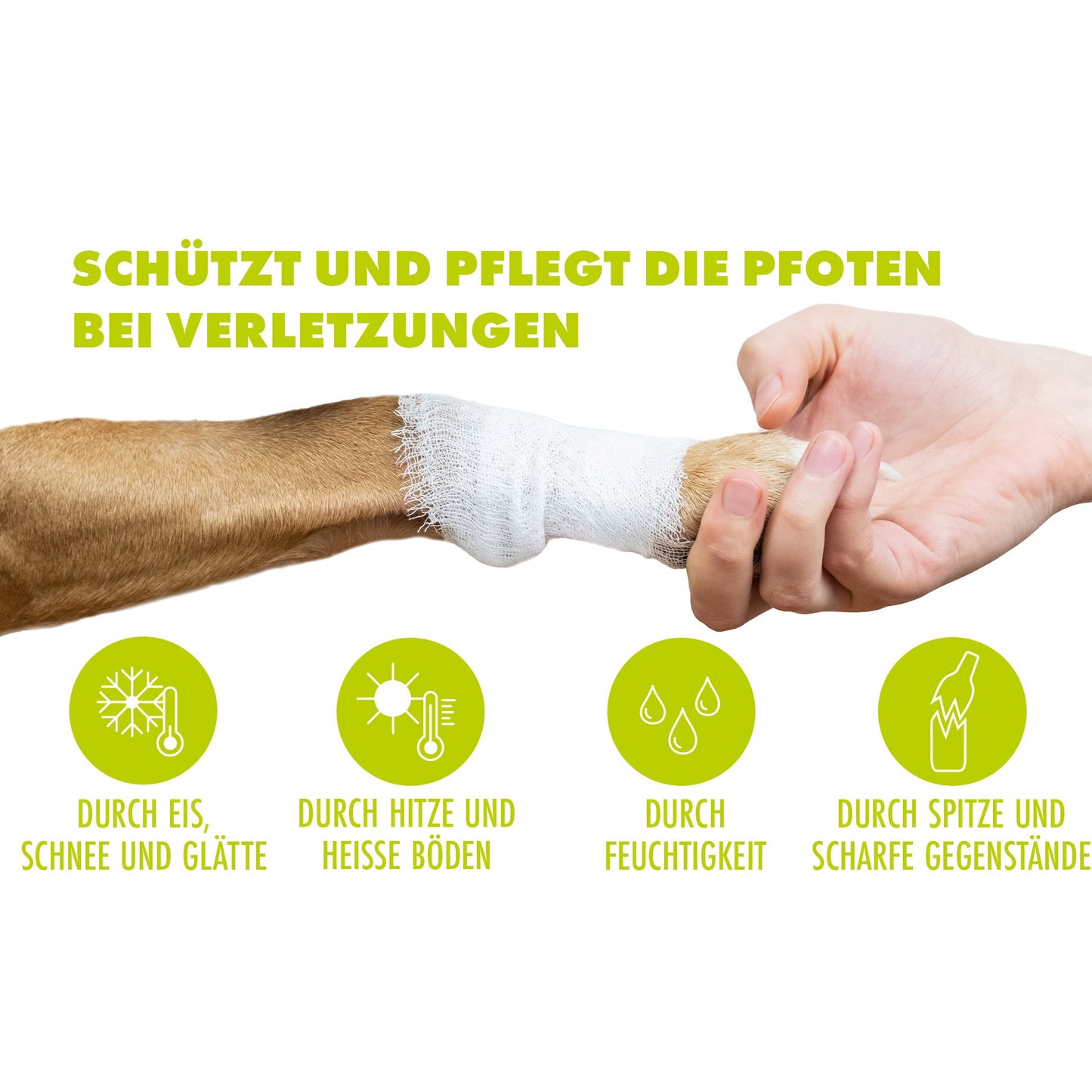 SAVANDIS Wund- und Pfotenpflege