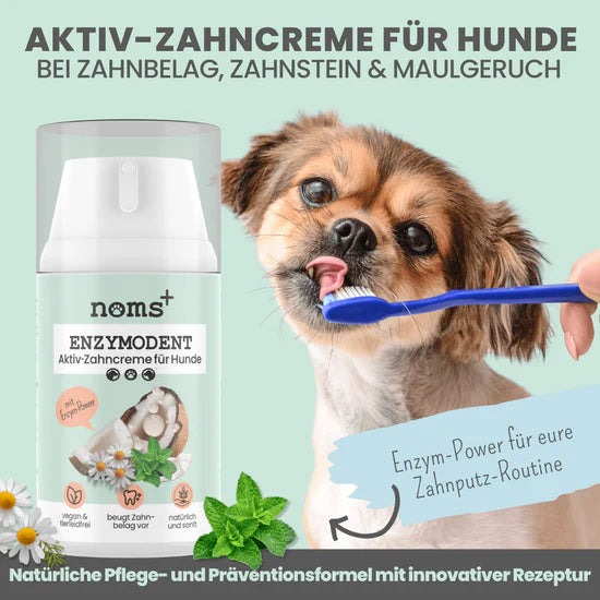Hund schleckt Enzymzahnpasta ab – effektive Mundhygiene gegen Zahnstein und Maulgeruch bei Hunden.