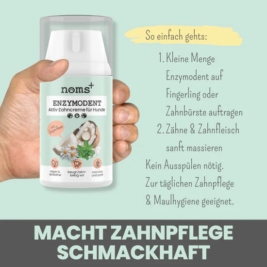 Anwendung der Enzymodent Zahnpasta für Hunde: Kleine Menge auf Hundezahnbürste oder Fingerling geben, sanft Zähne und Zahnfleisch massieren, nicht ausspülen