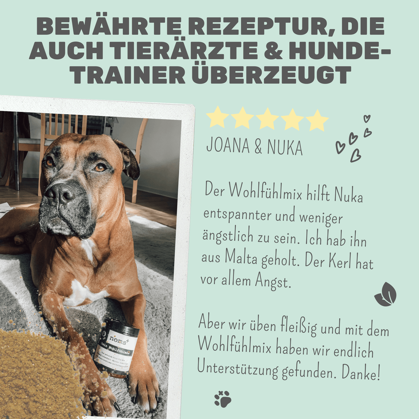 noms+ Wohlfühlmix für Hunde und Katzen bei Stress, Angst, Unruhe und Hyperaktivität (150g)