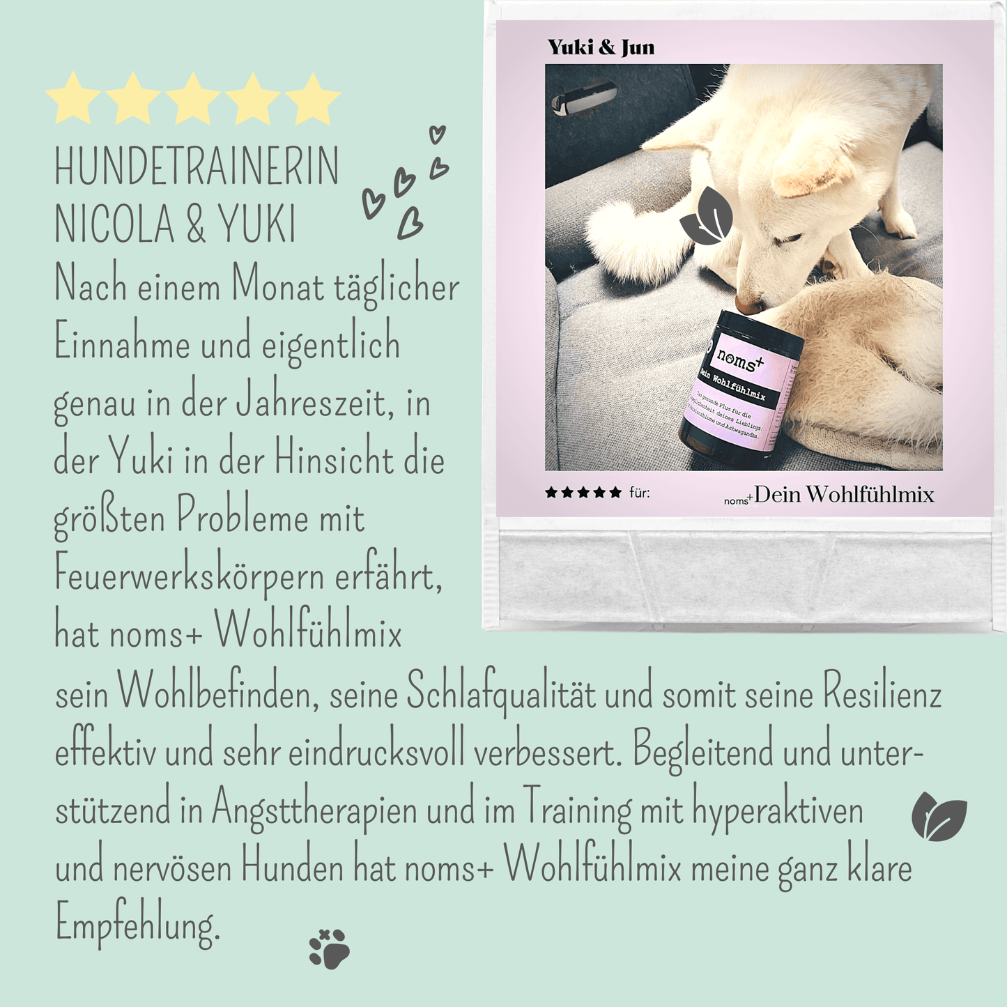 noms+ Wohlfühlmix für Hunde und Katzen bei Stress, Angst, Unruhe und Hyperaktivität (150g)