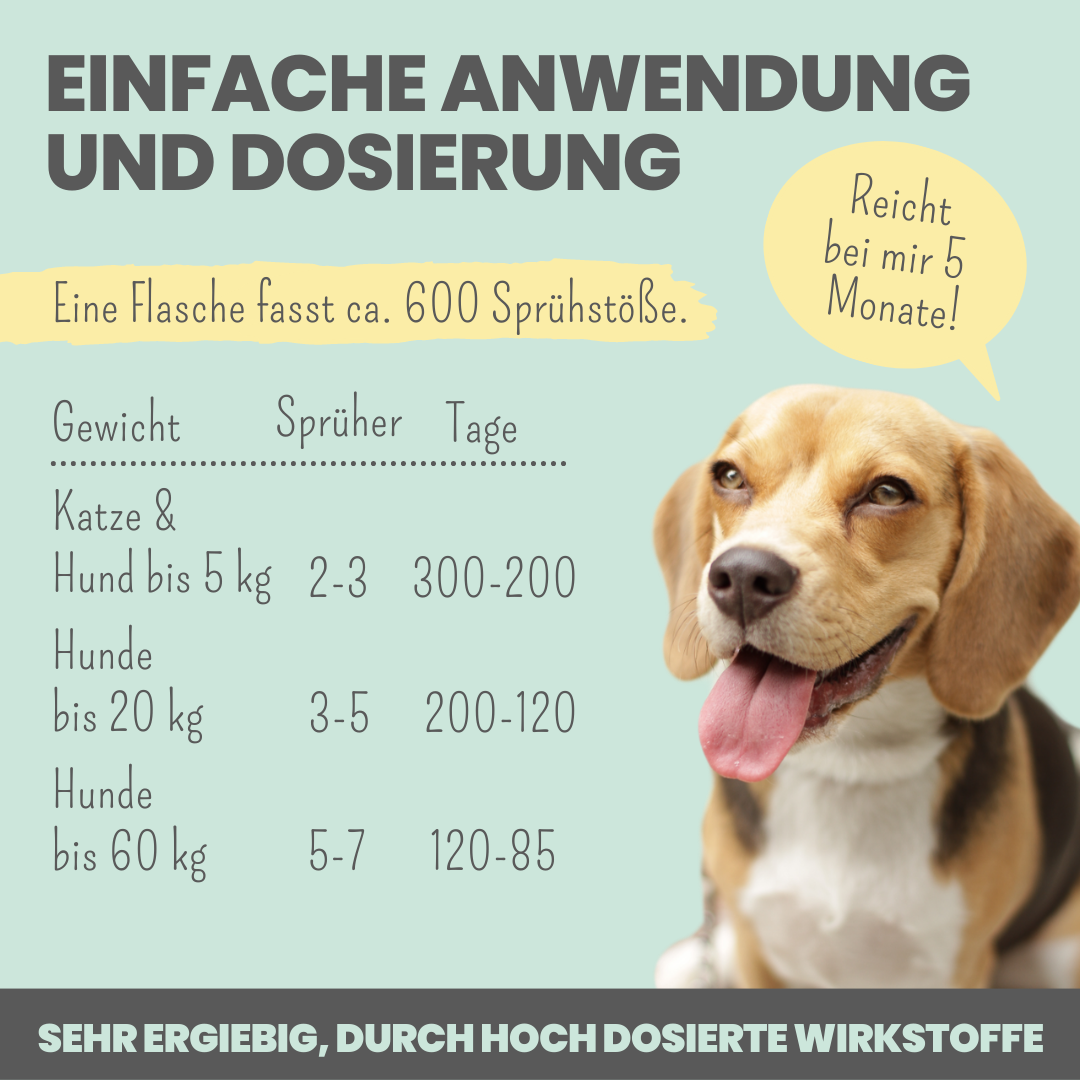 noms+ Dental-Spray bei Zahnstein für Hunde und Katzen (100ml)