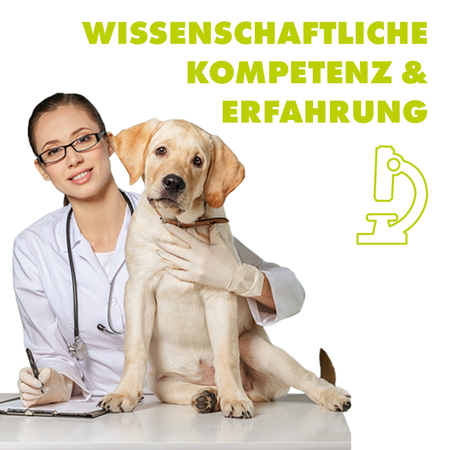 ViPiBaX Parvo Schnelltest, 2 Stk.