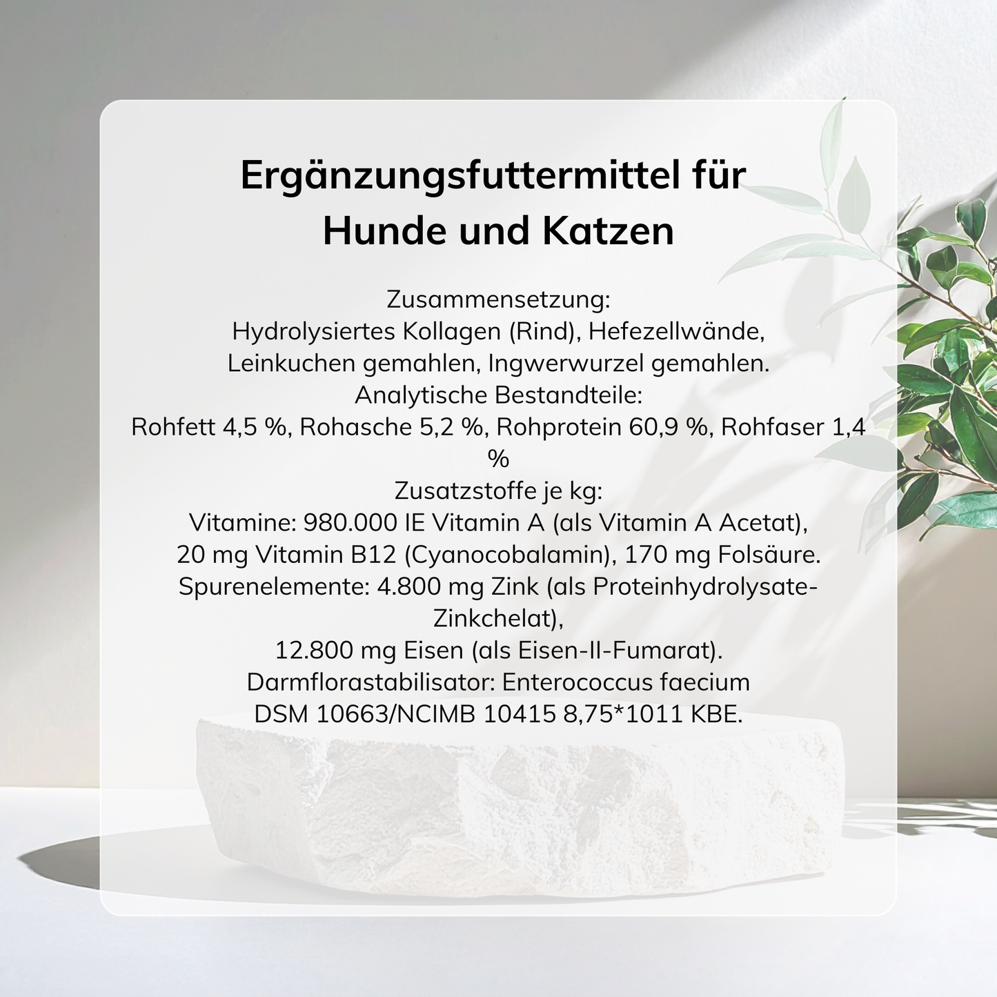 Giard Plus – verbesserte Rezeptur zur gezielten Darmunterstützung bei Giardienbefall bei Hunden und Katzen 60g