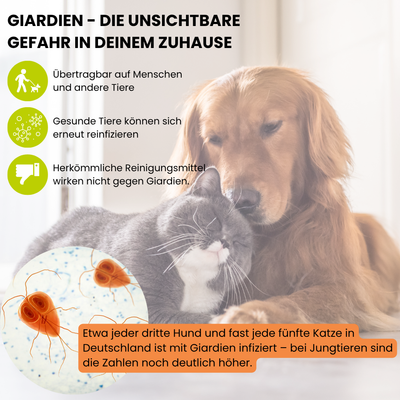 ViPiBaX Giardien EX® Hygiene-Spray Nachfüllpack