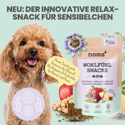 noms+ Wohlfühlsnacks für Hunde bei Stress, Angst, Unruhe & Hyperaktivität (200g)