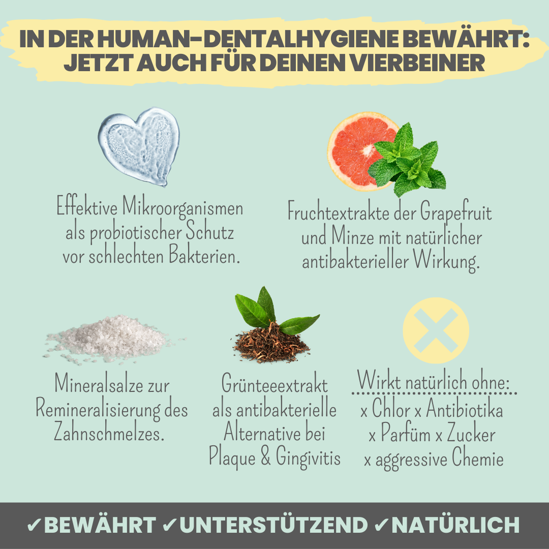 noms+ Dental-Spray bei Zahnstein für Hunde und Katzen (100ml)