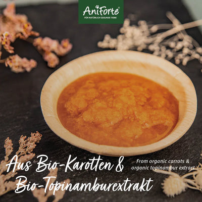 AniForte® Bio Morosan – Natürliche Schonkost für Hunde mit Bio-Karotten und Topinambur zur Unterstützung bei Verdauungsstörungen und Erhaltung der Darmgesundheit.