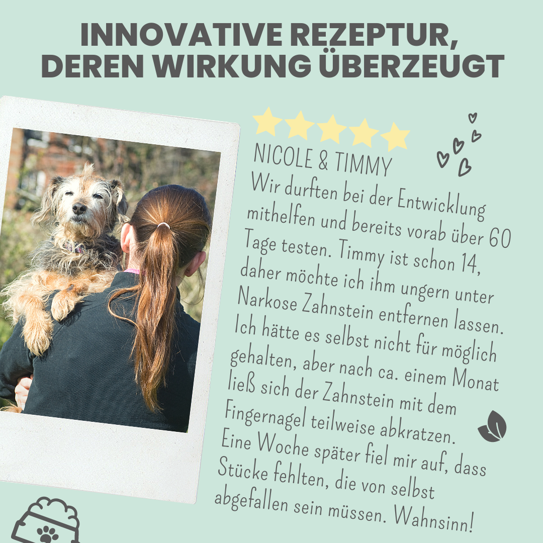 noms+ Dental-Spray bei Zahnstein für Hunde und Katzen (100ml)