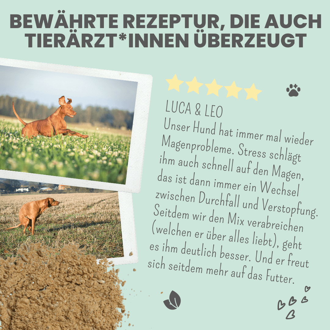 noms+ Verdauungsmix für Hunde als Präbiotikum für Magen- & Darmflora (150g)