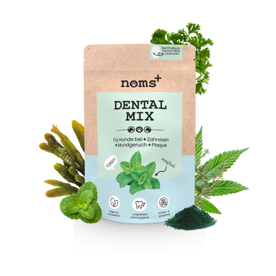 noms+ Dentalmix für Hunde zur Zahnpflege und für frischen Atem (150g)