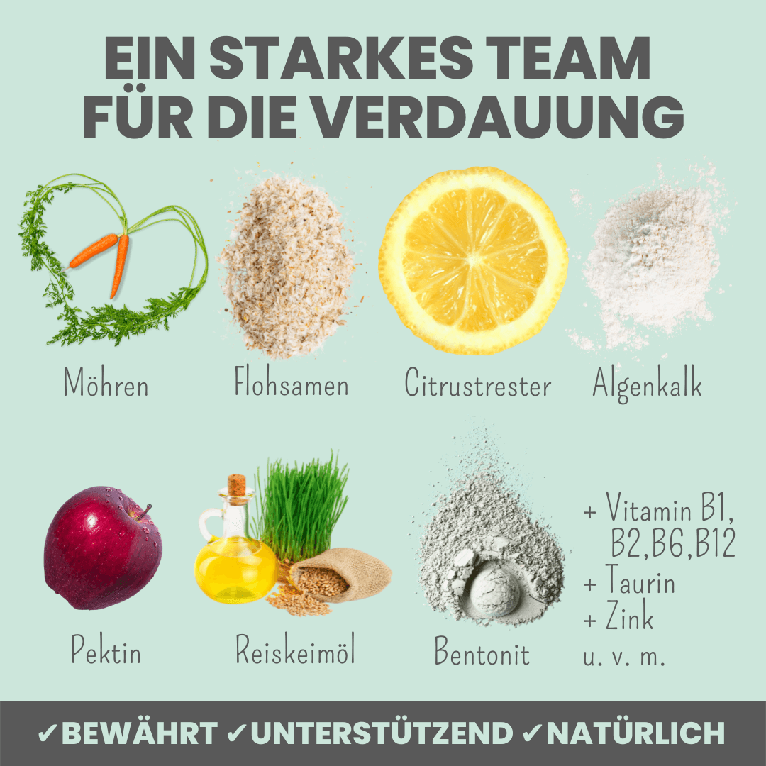 noms+ Verdauungsmix für Hunde als Präbiotikum für Magen- & Darmflora (150g)