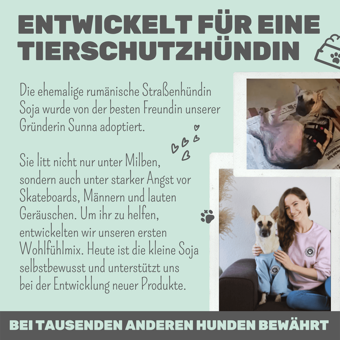noms+ Wohlfühlmix für Hunde und Katzen bei Stress, Angst, Unruhe und Hyperaktivität (150g)