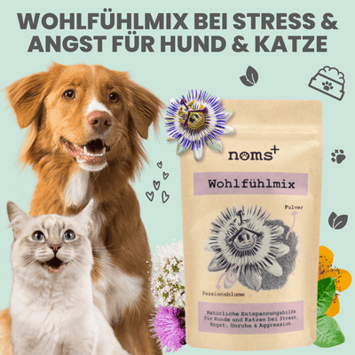 noms+ Wohlfühlmix für entspannte Hunde & Katzen (150g)