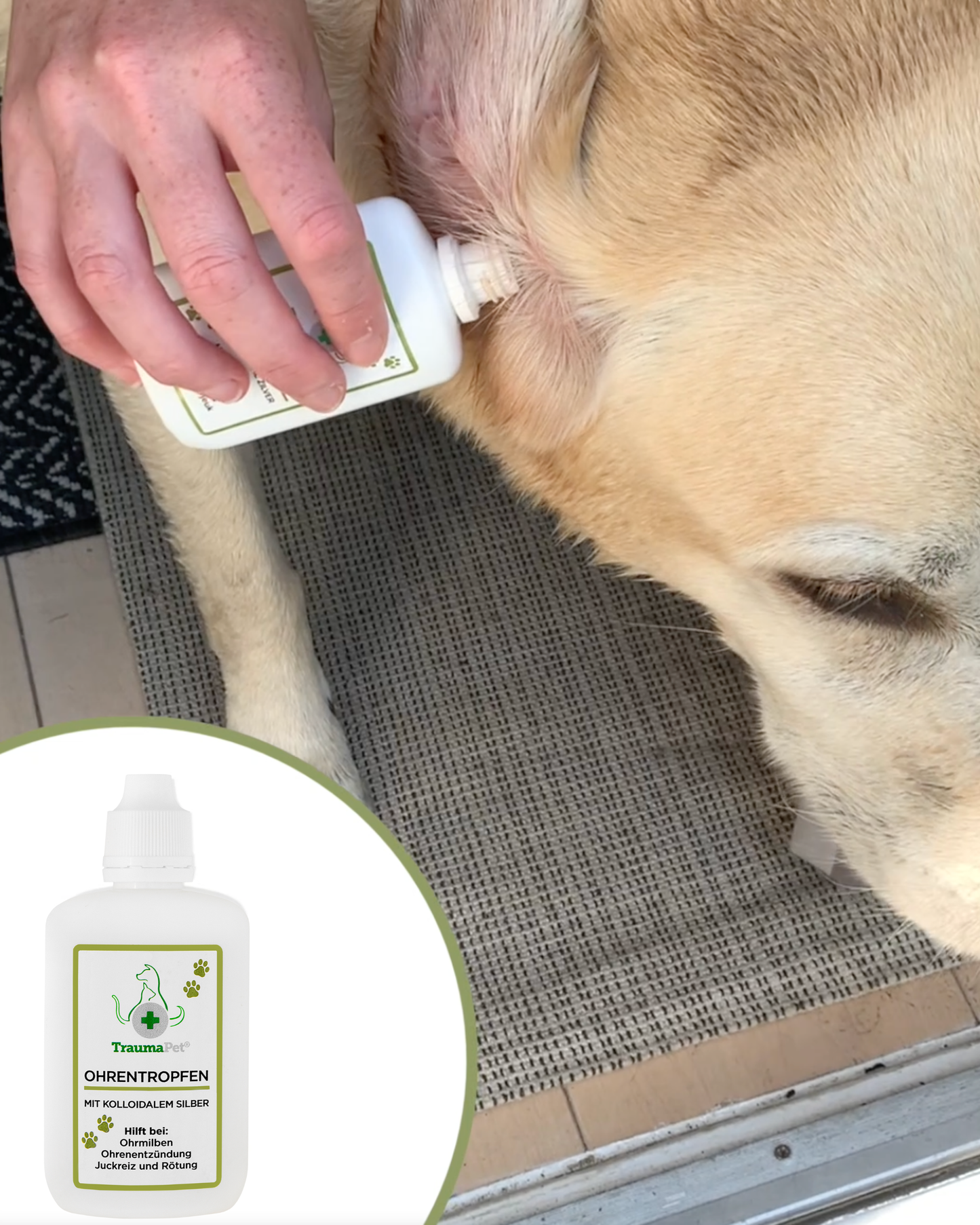 TraumaPet Ohrentropfen mit kolloidalem Silber für Tiere 50ml