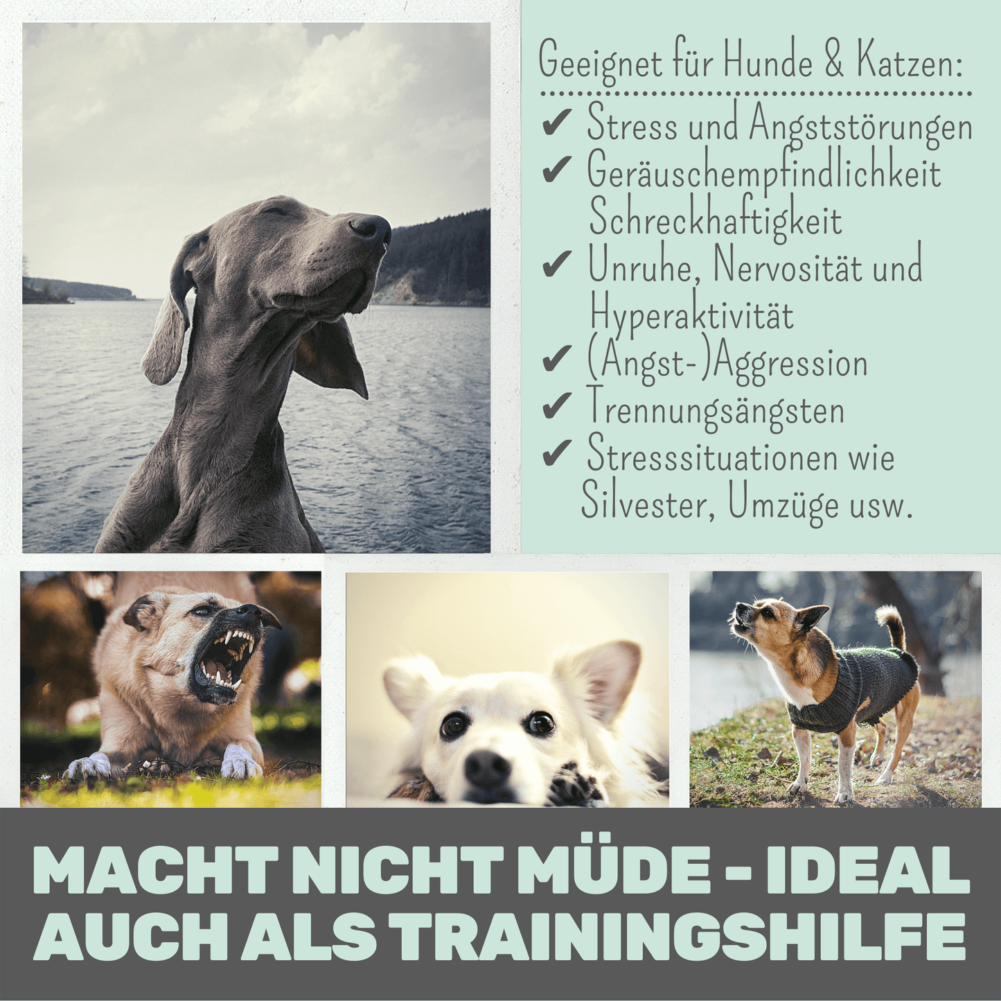 noms+ Wohlfühlmix für Hunde und Katzen bei Stress, Angst, Unruhe und Hyperaktivität (150g)