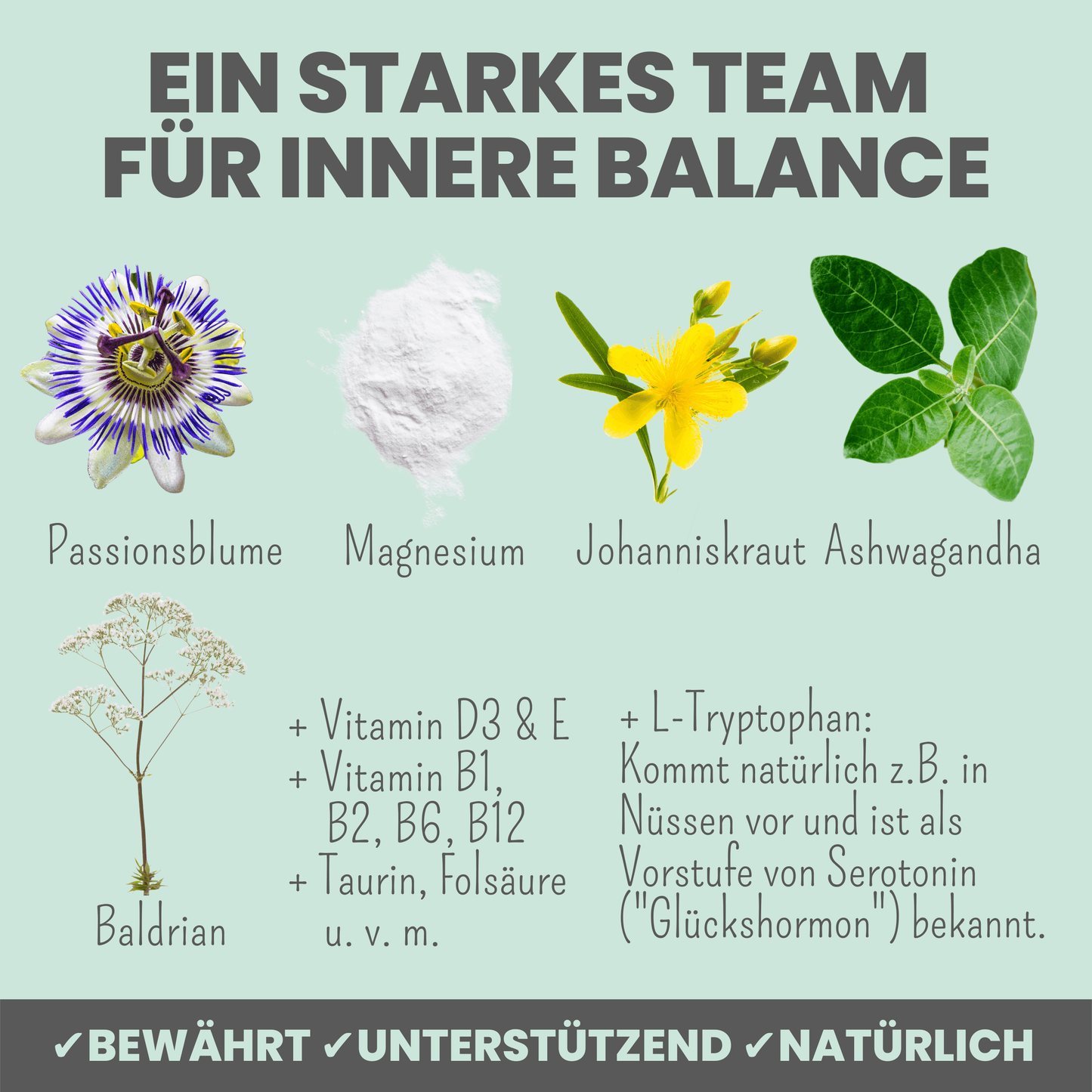 noms+ Wohlfühlmix für Hunde und Katzen bei Stress, Angst, Unruhe und Hyperaktivität (150g)
