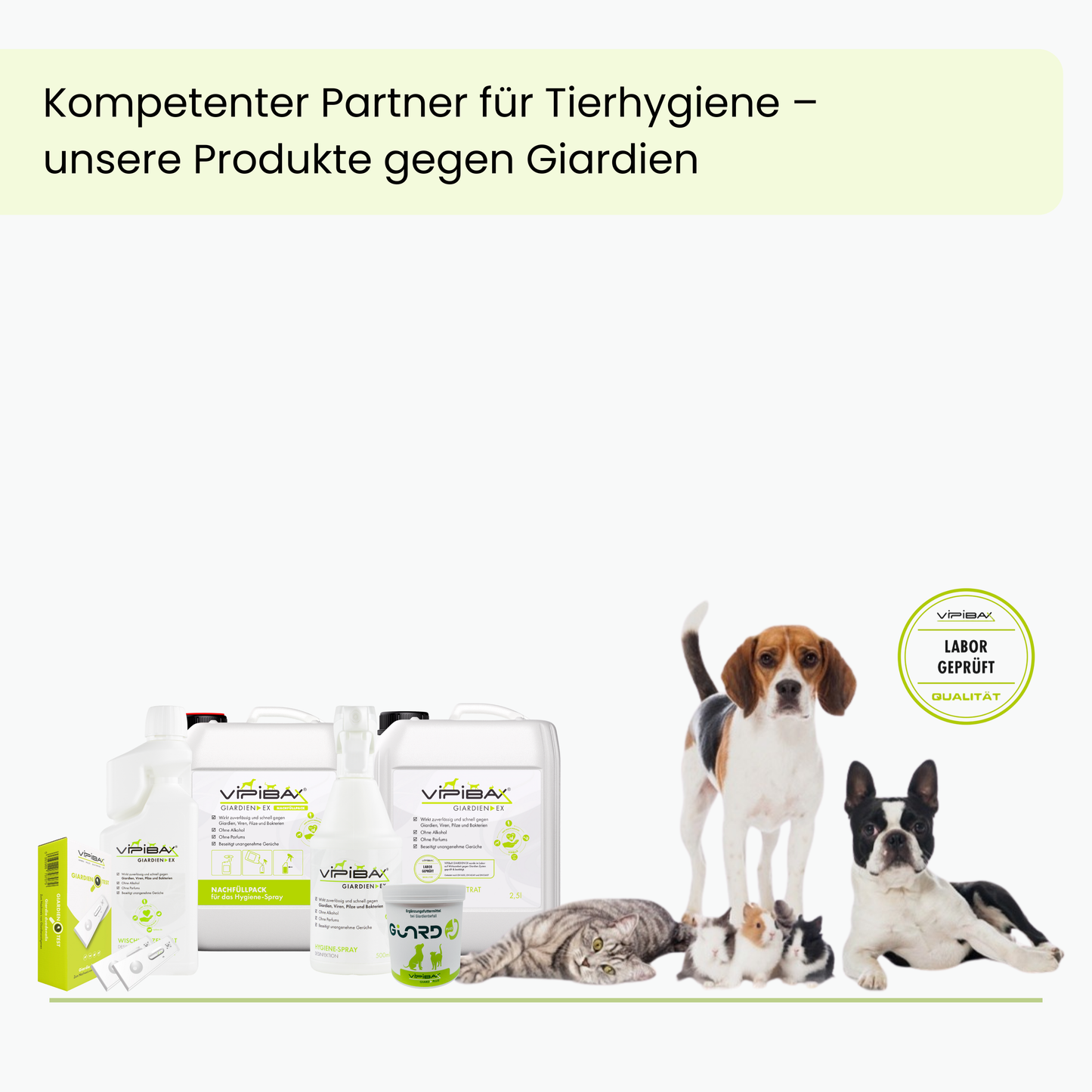 ViPiBaX Giardien EX® Wischkonzentrat 5l