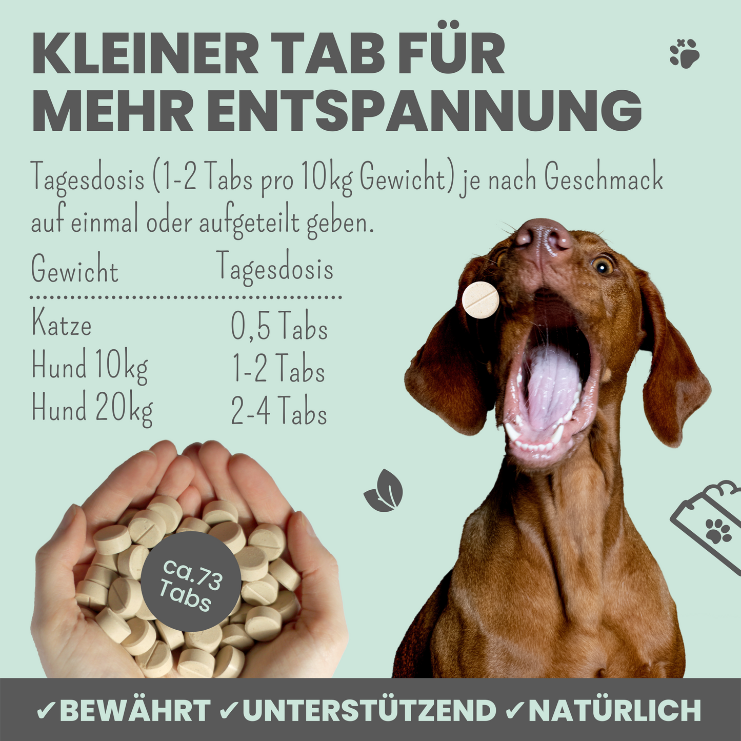 noms+ Wohlfühltabs für Hunde bei Stress, Angst, Unruhe und Hyperaktivität (110g)