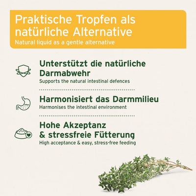 AniForte® W-Liquid für Hunde und Katzen – Natürliche Unterstützung der Darmgesundheit