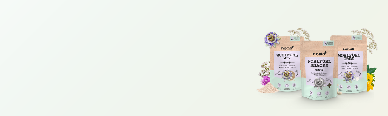 noms+ Wohlfühl-Linie