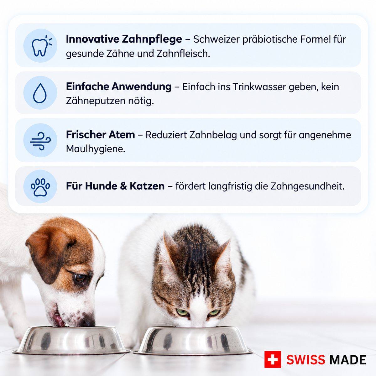 Übersicht zu TEEF VitaePlus mit Anwendungshinweisen und Hund und Katze am Trinknapf
