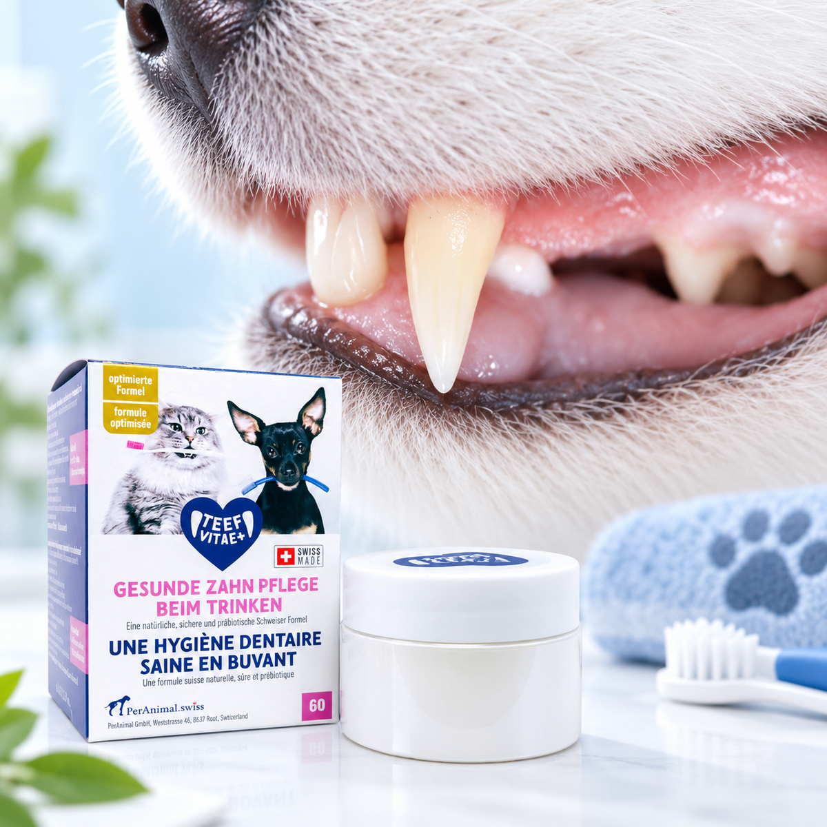 TEEF VitaePlus – Produktpackung und Dose neben einer Nahaufnahme von Hundezähnen