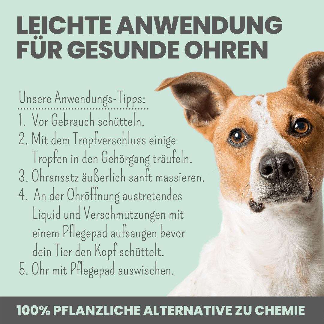 noms+ 2-in-1 Ohrfein Reinigung & Pflege für Hunde & Katzen (75ml)