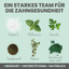 noms+ Dentalmix für Hunde zur Zahnpflege und für frischen Atem (150g)