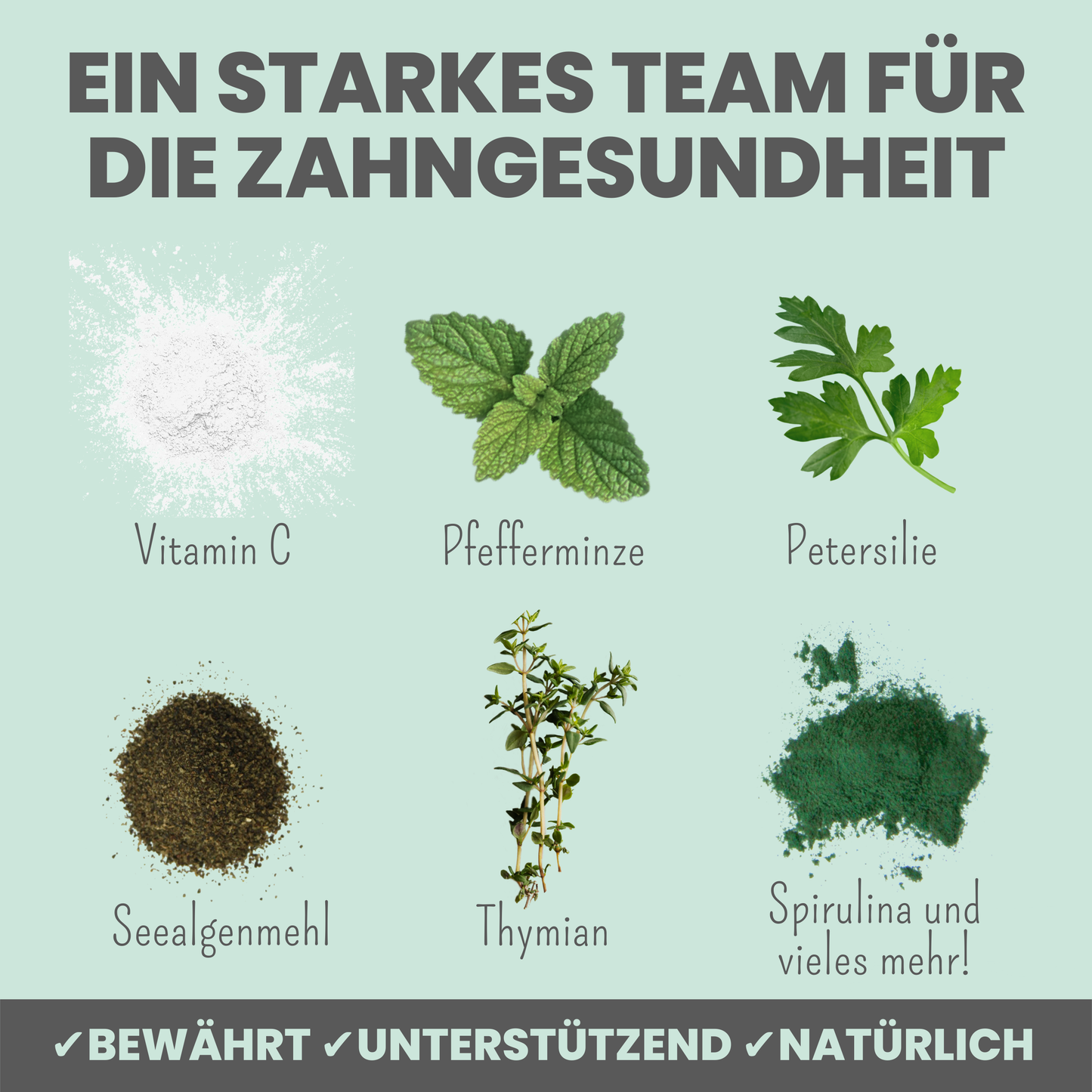 noms+ Dentalmix für Hunde zur Zahnpflege und für frischen Atem (150g)