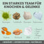 noms+ Gelenkmix für Hunde und Katzen mit Teufelskralle, Kurkuma & Glucosamin (150g)