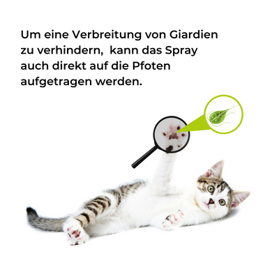 ViPiBaX Giardien EX® Bundle - Hygiene-Spray Duo