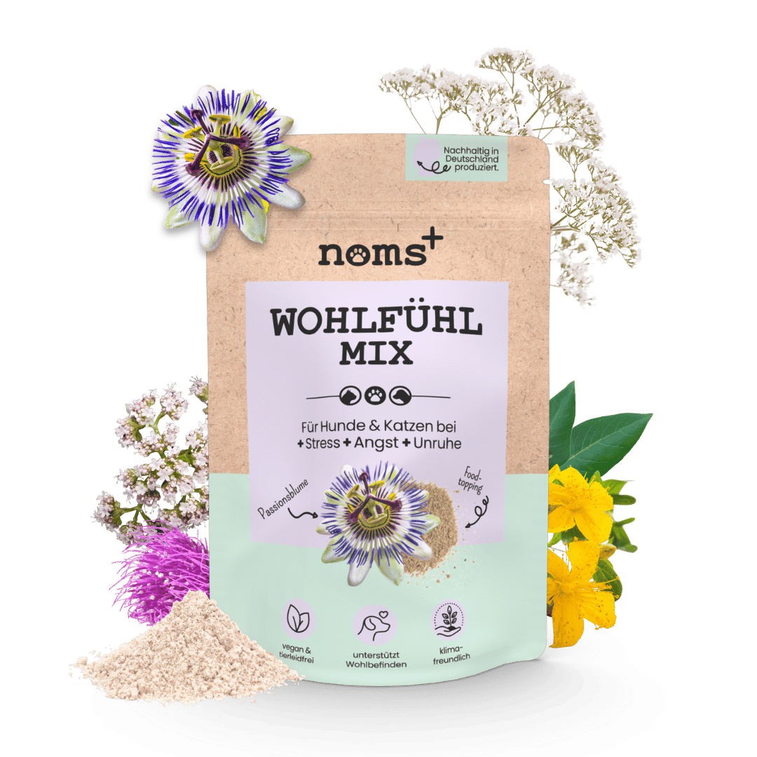 noms+ Wohlfühlmix für entspannte Hunde & Katzen (150g)