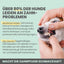 Zahnprobleme bei Hunden wie Plaque und Gingivitis – Enzymodent Zahnpasta hilft bei der täglichen Mundhygiene.