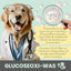 Hund erklärt die Funktion von Glucoseoxidase – wichtiges Enzym in der Zahnpflege für Hunde.