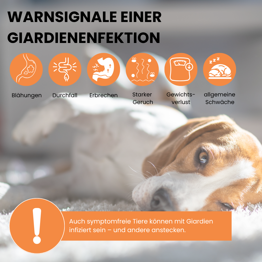 ViPiBaX Giardien EX® Hygiene-Spray 500ml