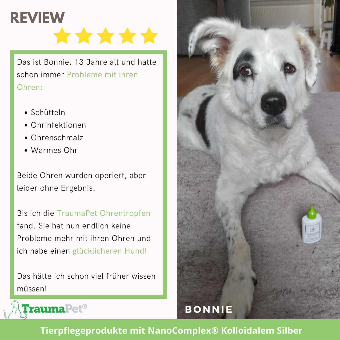 TraumaPet Ohrentropfen mit kolloidalem Silber für Tiere 50ml