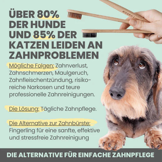 Problembeschreibung Zahnprobleme bei Hunden und Katzen