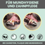 noms+ Dental-Spray bei Zahnstein für Hunde und Katzen (100ml)