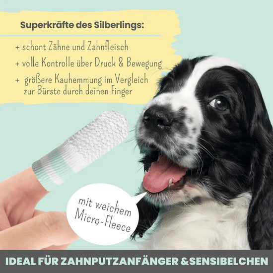 Abbildung Hund und Silberling auf Finger mit den Vorteilen des Silberlings für schonende Zahnpflege